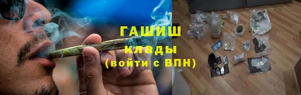 прущие грибы Аркадак