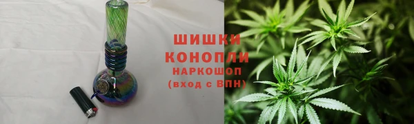 прущие грибы Аркадак