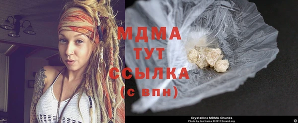 прущие грибы Аркадак