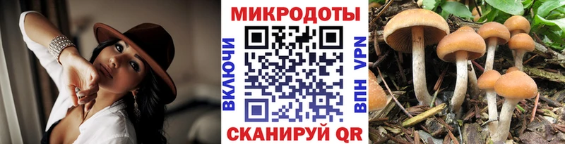 Галлюциногенные грибы прущие грибы  Шадринск 