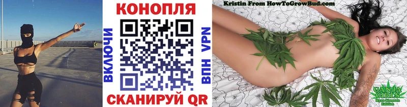 Шишки марихуана индика  закладка  Шадринск 